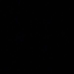 Meet your Posher, Dennis